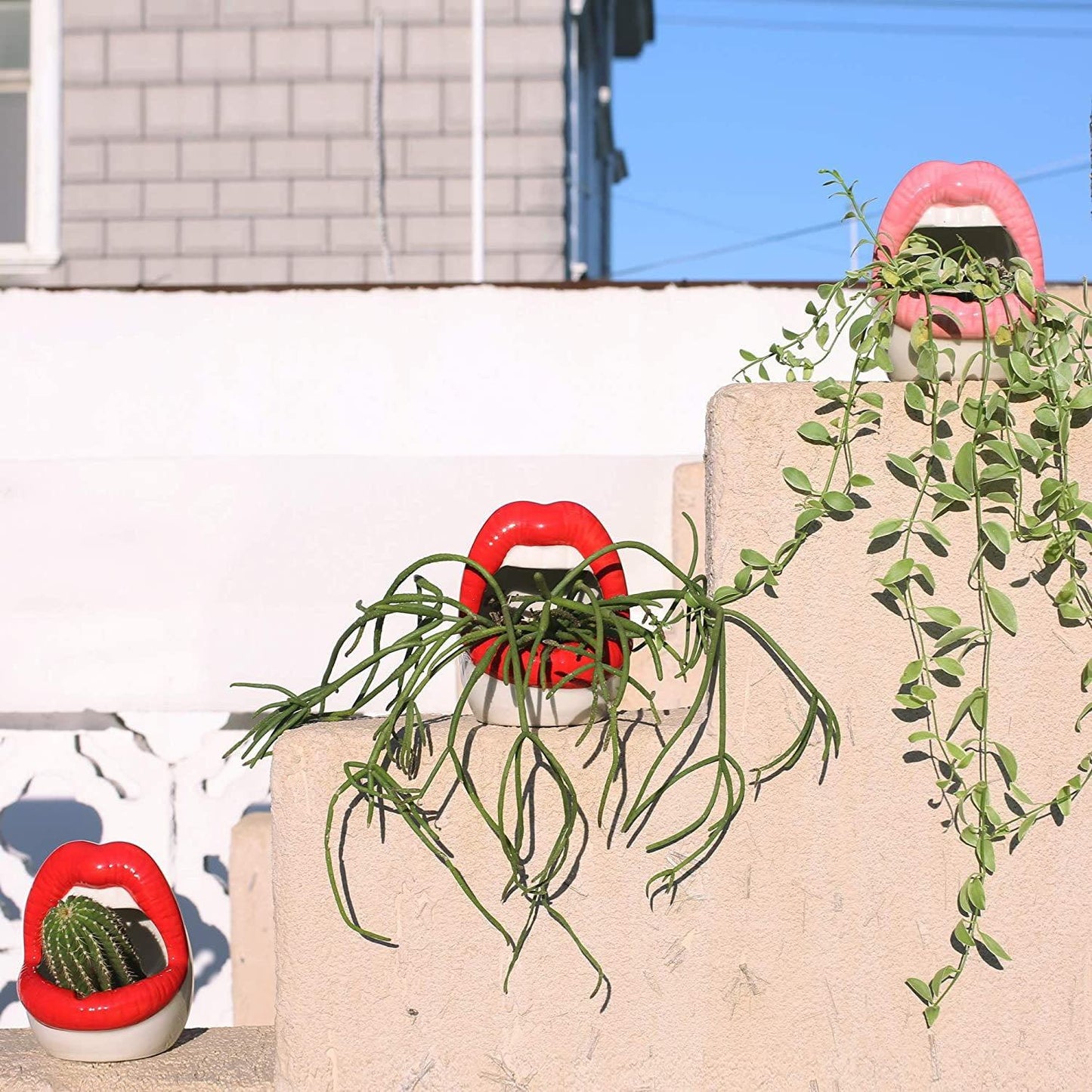 Bold Lips Creative Flower pots - Starhauz.com