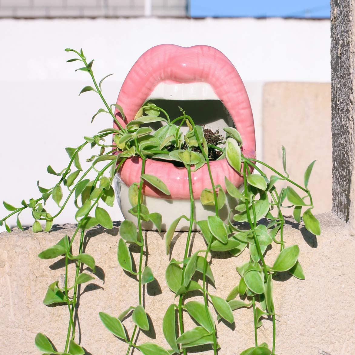 lips plant pot Creative Lips Flower Pot