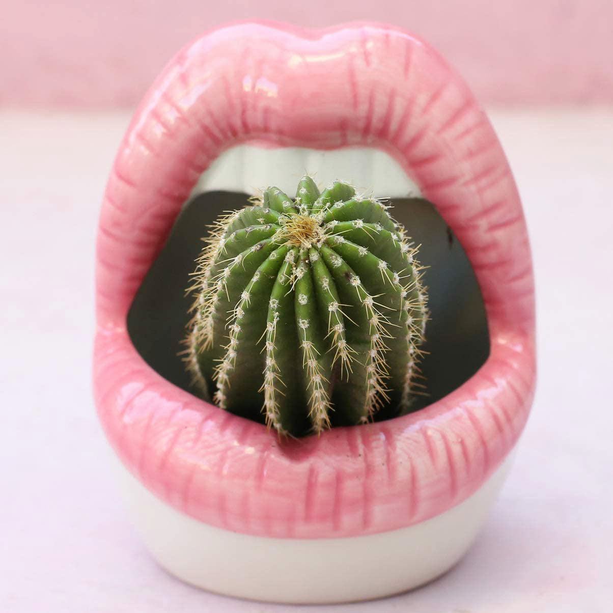Bold Lips Creative Flower pots - Starhauz.com