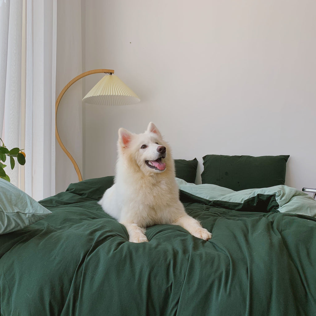 Two-Toned Aesthetic Bedsheet Set - Bedding
