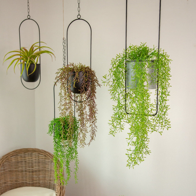 modern hanging plant pots Modern Hanging Vase Holder, Circle / Matte Black