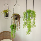 Sleek Modern Luxury Hanging Pots - Starhauz.com