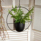 Sleek Modern Luxury Hanging Pots - Starhauz.com
