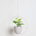 Sleek Modern Luxury Hanging Pots - Starhauz.com