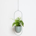 Sleek Modern Luxury Hanging Pots - Starhauz.com
