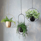 Sleek Modern Luxury Hanging Pots - Starhauz.com