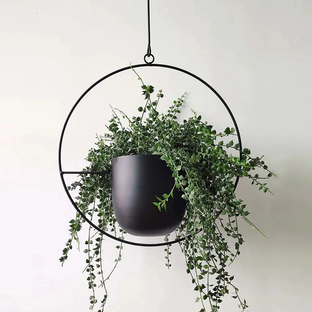 expensive hanging plants Modern Hanging Vase Holder, Circle / Matte Black