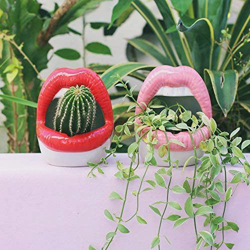 creative plant pots Creative Lips Flower Pot