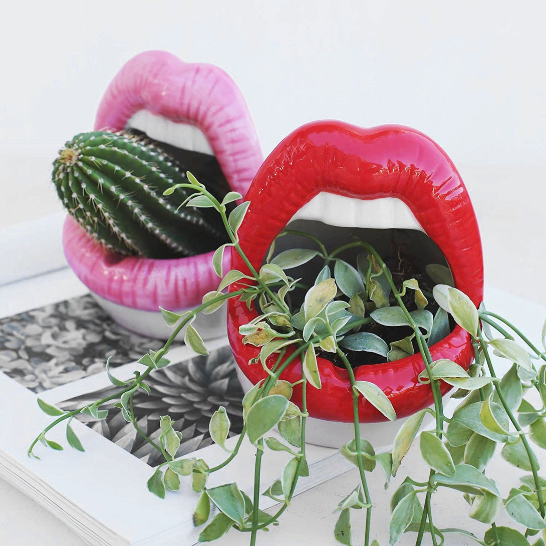 mouth plant pot Bold Lips Creative Flower pots | Planters