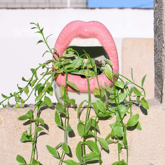 Bold Lips Creative Flower pots - Starhauz.com