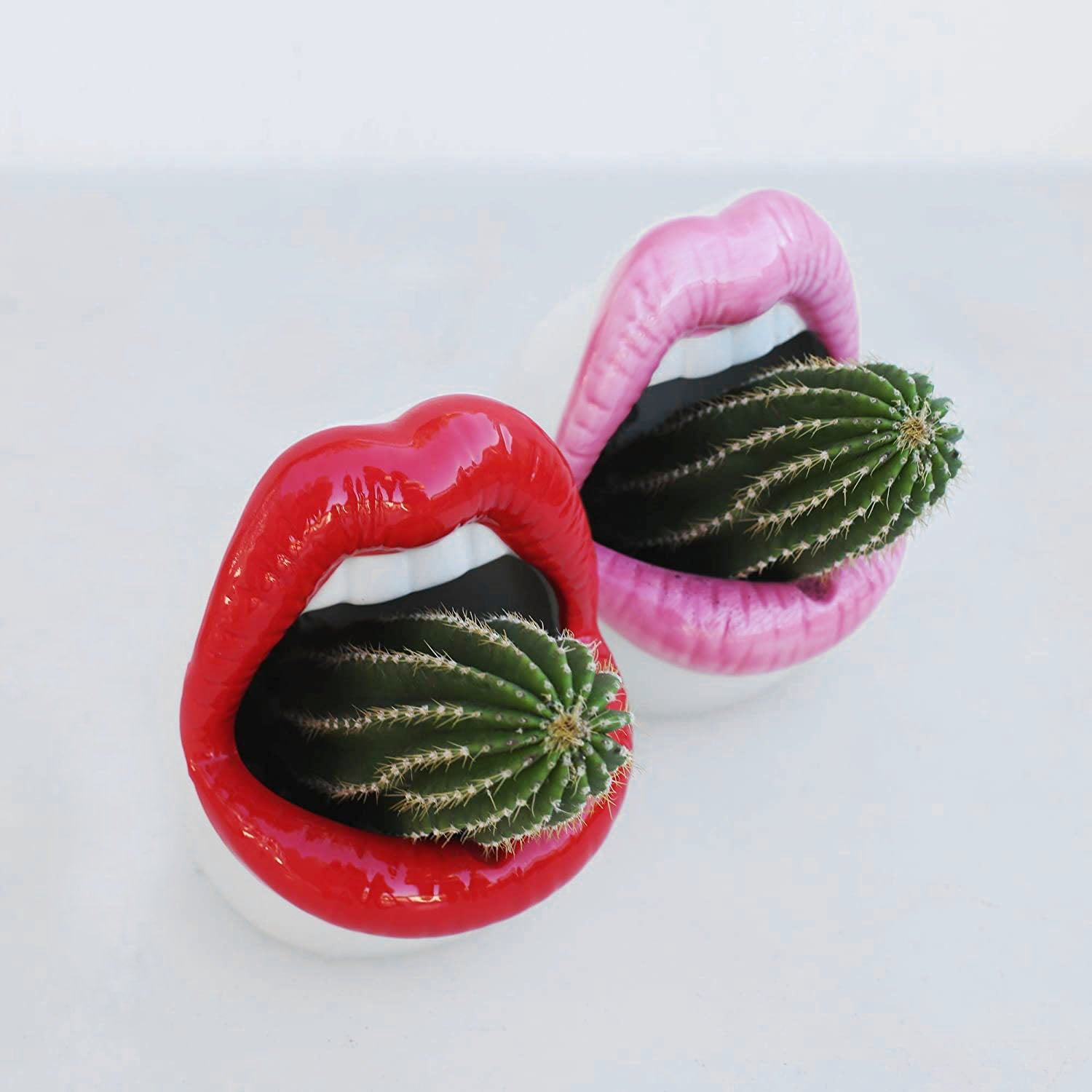 Bold Lips Creative Flower pots - Starhauz.com