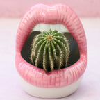 Bold Lips Creative Flower pots - Starhauz.com